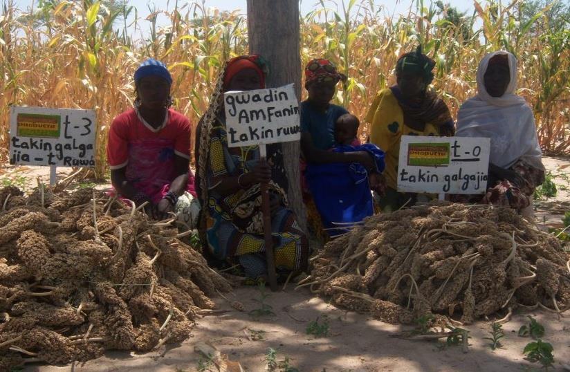 Lärdomar från Aguié Participativa jordbruksförsök viktiga seeing is believing Förbättra det som redan görs fält närmast byn har alltid gett bäst