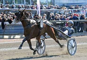 MÅNADEN HÄT Gävletravet maj 2019 ACTIVATED Vi gratulerar med segertäcke och hederspris to 4 år e. Jocose Marelle e.