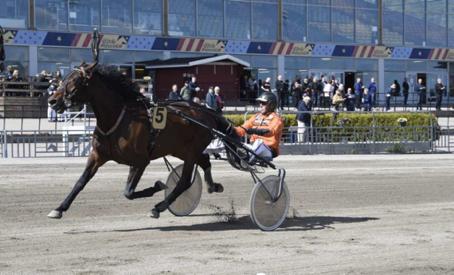 Angelica Bernström i tora kedvi är ägare och tränare. Hon var riktigt grym i Gävle mot stenhårt motstånd. Nu var hon dock inte lika avslappnad bland hästar.