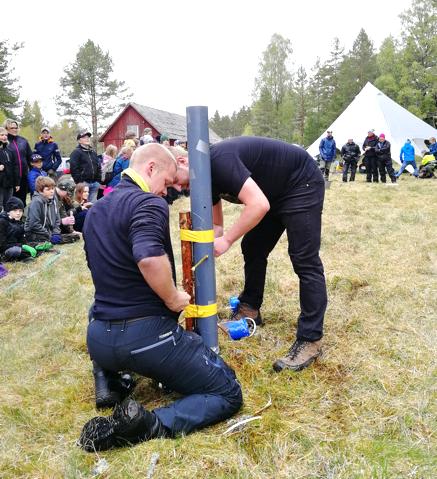 Flygkrypen från Värings