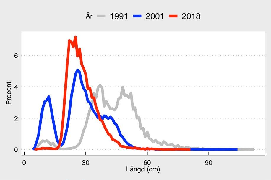 Fig. 3. Förändringen i det östra torskbeståndets hälsotillstånd (konditionsfaktor) och maxlängd (Lmax), mätt som medelvärdet av de längsta fångade individerna.