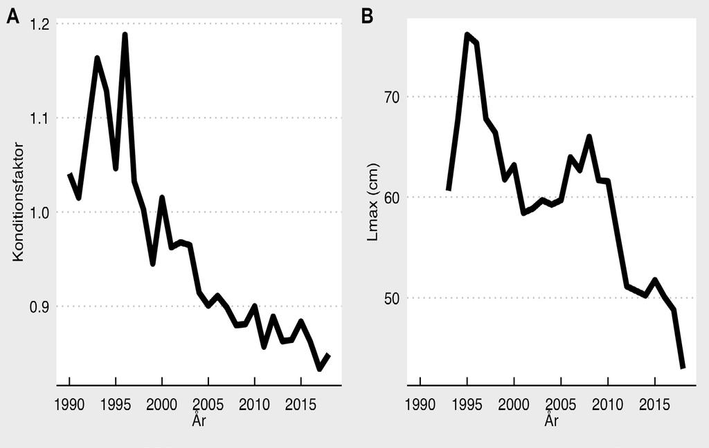 Torskbeståndets utbredning och reproduktionsområden Under de senaste fyra årtiondena har stora förändringar skett i den rumsliga utbredningen av det östra torskbeståndet.