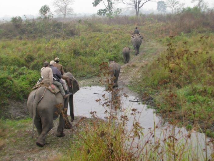 DAG 01. 13/11 ANKOMST DELHI DÄREFTER INRIKESFLYG TILL GUWAHATI I ASSAM Tidigt på morgonen anländer ni med flyg till Delhi där expeditionsledaren Kjell Borneland väntar.