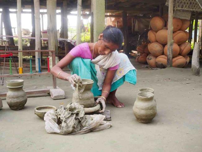 Endast i Assam finns den asiatiska vilda buffeln liksom pansarnoshörningen. Den vilda buffeln anses vara det farligaste djuret i hela Indien.