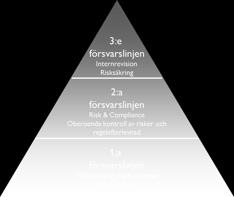 RISK Risk innefattar osäkerhet i olika former och är ett naturligt inslag i alla typer av verksamheter.