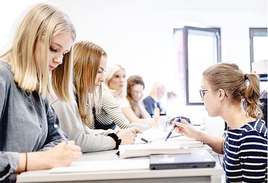 Att förstå hur det går Elev Återkoppling i grupp och enskilt Skriftligt i Schoolsoft och Digiexam