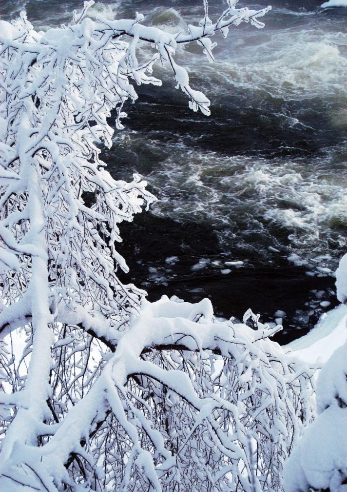 Gudstjänster Januari 1 JAN NYÅRSDAGEN 11:00 Mässa, 6 JAN- TRETTONDEDAG JUL 10:00 Mässa, 17:00 Musikgudstjänst, 8 JAN TISDAG 15:00 Mässa, Klockareängen 9 JAN ONSDAG 11:00 Mässa, Soläng 27 JAN 3 E.