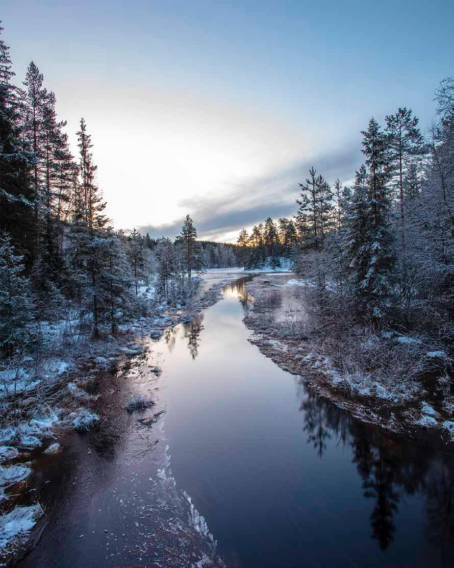 Lennart Halvarsson - Naturfotograferna Arvika Juryns motivering: En vinterbild som vi alla tyckte mycket om. Här leds man in i bilden av det öppna vattnet.