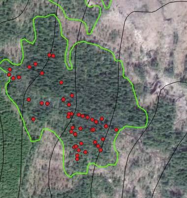 Bondskogskilen södra Norr om Lillskog, Hälsingland. Avregistrerad nyckelbiotop på 6,8 ha.