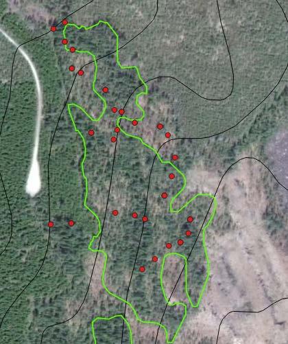 Bondskogskilen norra Norr om Lillskog, Hälsingland. Avregistrerad nyckelbiotop på 5,8 ha, precis norr om den förra.