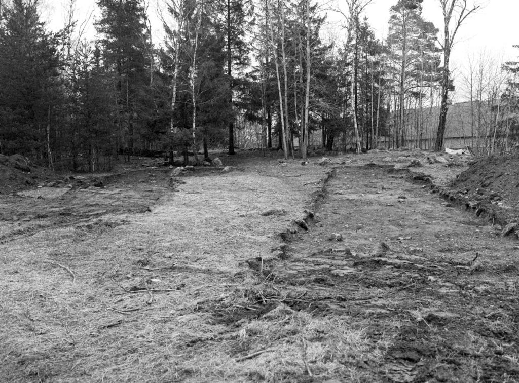 Området mellan gravarna i öster och den forna åkermarken i väster, som idag utgörs av äng, avgränsas av en låg stensträng. I avsikt att konstatera om det fanns bortodlade gravar Figur 6.