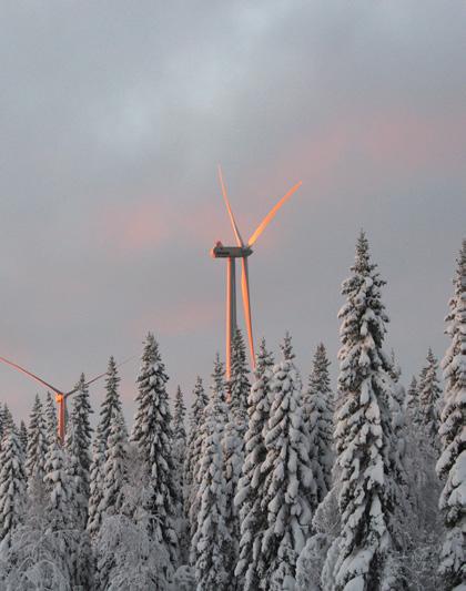 OM BYGGET AV PARKEN Drygt 2 mil vägar har rustats upp/nyanlagts. Till vägar och planer har det gått åt 190 000 ton berg och grus och behövts 9 100 transporter.