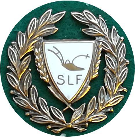 SLF, förtjänstmärke silverstämplad H? (S.R.