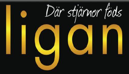 Arrangemanget påminde om en internationell mästerskapstävling i seniorklass och domarkåren bestod främst av utbildade internationella domare.