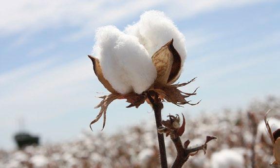 Exempel på hållbara material som vi använder är ekologisk bomull, recycled polyester