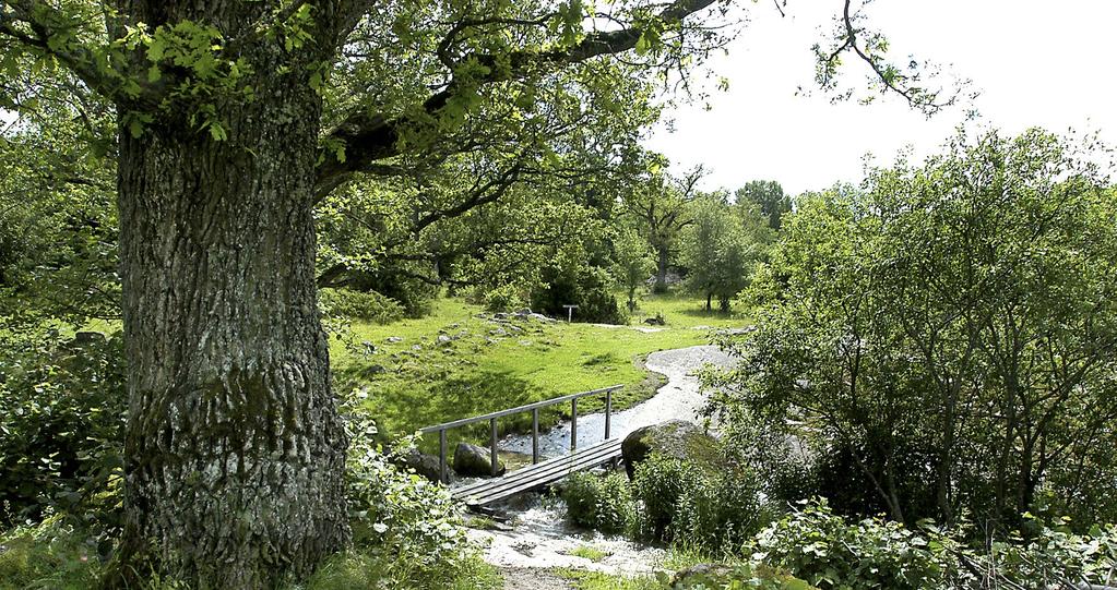 LINKÖPING SKA VARA EN AV SVERIGES BÄSTA LANDSBYGDSKOMMUNER Linköpings omland är en stor och viktig del av Linköpings kommun.