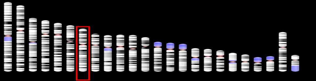 Cystisk fibros orsakas av en mutation i CFTR-genen Cystisk fibros beror på en mutation i genen CFTR (kallas ibland enbart för CF-genen). CFTR-genen kodar för ett protein med samma namn.