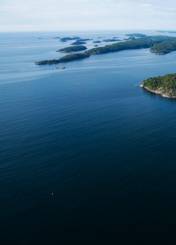 Nynas är ett världsledande företag inom specialoljor för olika industriella ändamål och bitumen för vägbeläggningar.