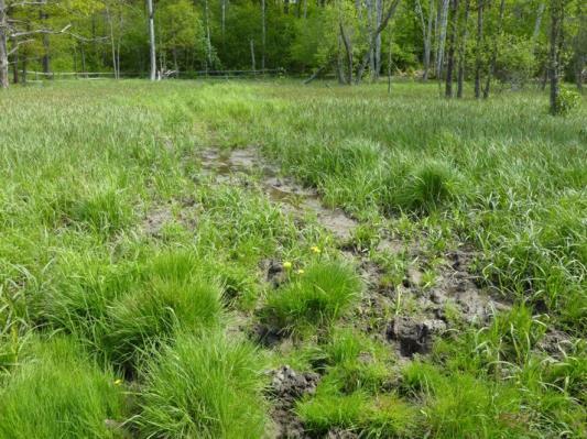 södra sidan om vallen (nedströms). Där kan vattnet spridas jämnt och fördelas över den avsatta ytan nedströms.