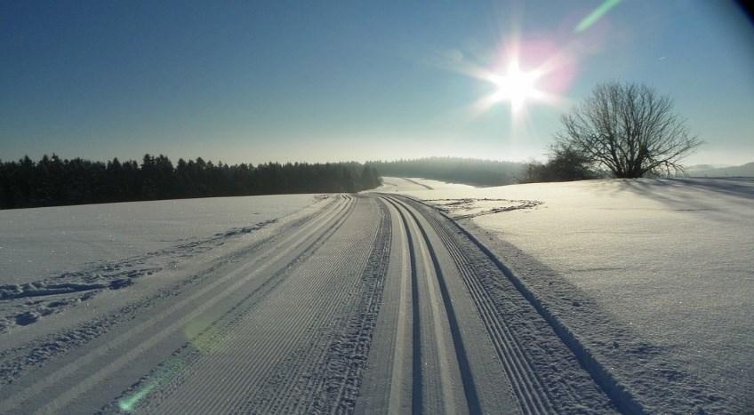 och annan sångsvan och kanadagås som vågat sig hit det är härligt! Nu är det inte många veckor kvar tills vi ses i Linköping.