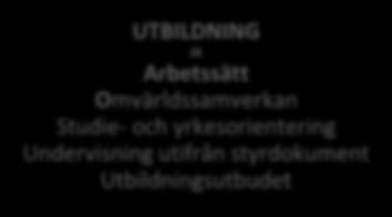 Kännedom om uppdraget Rektor har yttersta ansvaret för att gällande styrdokument följs All personal får information om hur de förväntas arbeta med studie- och yrkesvägledning till eleverna 2.