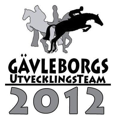 Gävleborgs Ridsportförbund har tillsammans med Länsförsäkringar Gävleborg och Agria haft ett utvecklingsteam för ungdomar i tre av ridsportens discipliner dressyr, hoppning och fälttävlan.