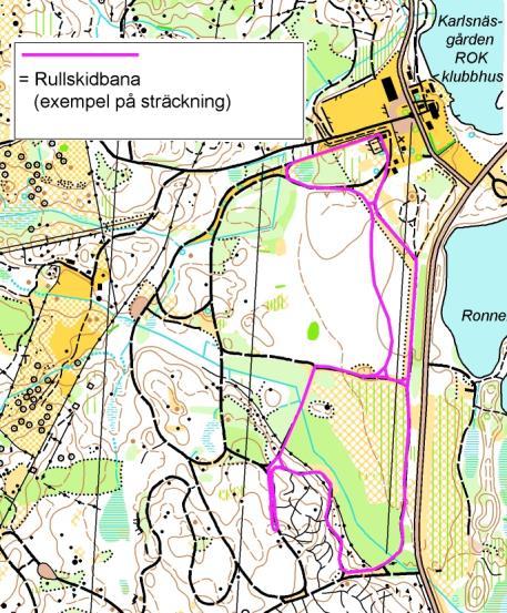 Sida 6(11) genomför och bekostar kommunen lampbyten även på föreningsägda anläggningar. Om detta inte anses genomförbart så söker vi bidrag för byte av armaturerna i egen regi.