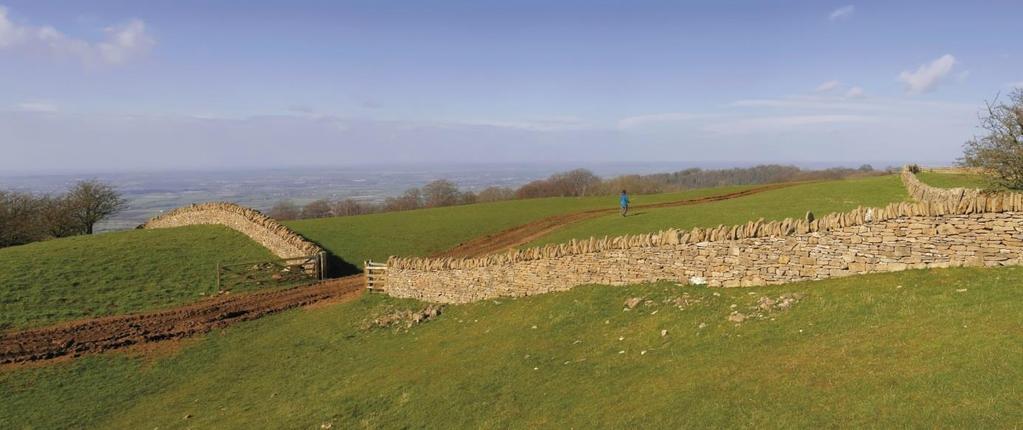 Nästan hela leden går genom Cotswolds Area of Outstanding Natural Beauty och passerar genom en rad förtrollande engelska byar, med traditionella Cotswoldstugor och välkomnande pubar.