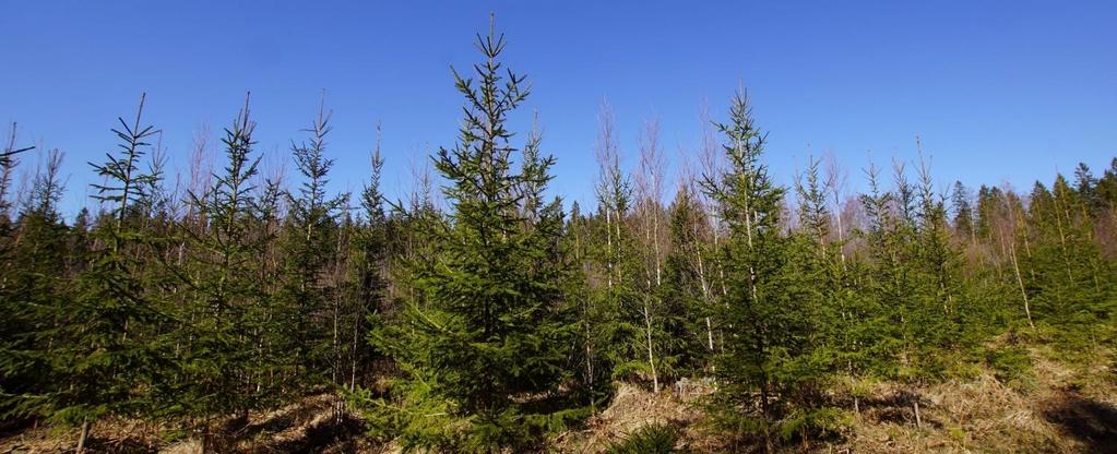 Visning Intresserade har möjlighet att på egen hand besöka Fastigheten. Respektera pågående markanvändning, jakt mm. Visning av byggnaderna sker torsdagen 2019-05-16, kl. 17.00. Välkommen!