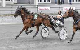 700 meter från mål togs jakten på ledande favoriten Don t Worry upp och i slutsvängen var de sida vid sida. Dessa stred hela upploppet ner för att Get Lucky D.E. kunde avgöra till seger kort före mål.