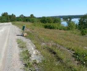 Närmast gårdsmiljön finns ett visst inslag av trivialare arter som ängskavle och stormåra, men som helhet har dessa vägkanter ett mycket högt botaniskt värde (och fin utsikt mot sjön!).