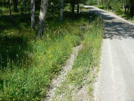 Delsträcka 30 Läge: Vid Vallerud. Två delsträckor ingår, en på vardera sidan vägen. Beskrivning: Bestånd med natt och dag på båda sidor vägen.