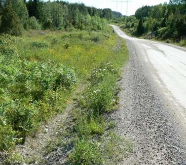 Till vänster: Vägkant på östra sidan vägen. Kraftledningen syns i bakgrunden.