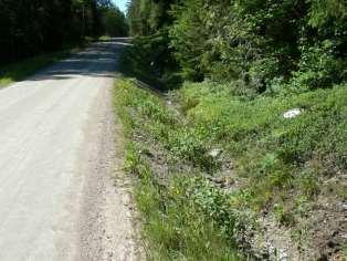 innerslänterna. Mot norr finns inslag av hällar som bl.a. är bevuxna med jungfrulin, prästkrage och gulmåra.