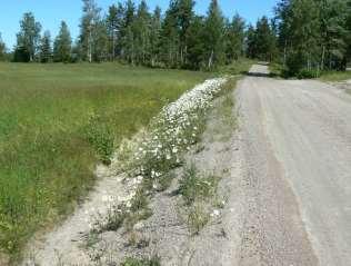 Här finns även t ex bockrot samt lite jungfrulin i söder där det förekommer hällar.