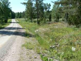 Delsträcka 45 Läge: Strax norr om Blideberget. Två delsträckor ingår, en på vardera sidan vägen. Beskrivning: Torrängsflora med bl.a. jungfrulin, gråfibbla, vildlin, darrgräs och prästkrage.