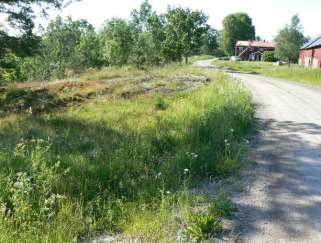 Arter av intresse: Jungfrulin, prästkrage, stor blåklocka, darrgräs, backnejlika (båda