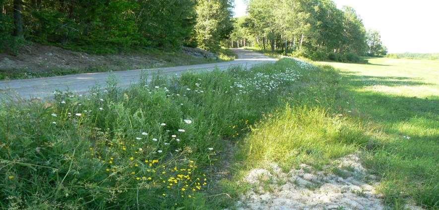 Norra delen av delsträcka 55.