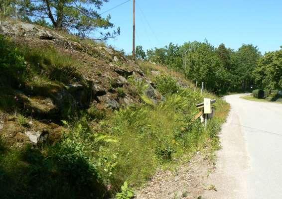 Delsträcka 56 Läge: Väster om Ånimskogs kyrka. En delsträcka ingår, västra sidan vägen. Beskrivning: Vägsluttning med berg. Karakteristisk flora med bl.a. tjärblomster, stor fetknopp, svartbräken, stenbräken, mandelblom och brudbröd.