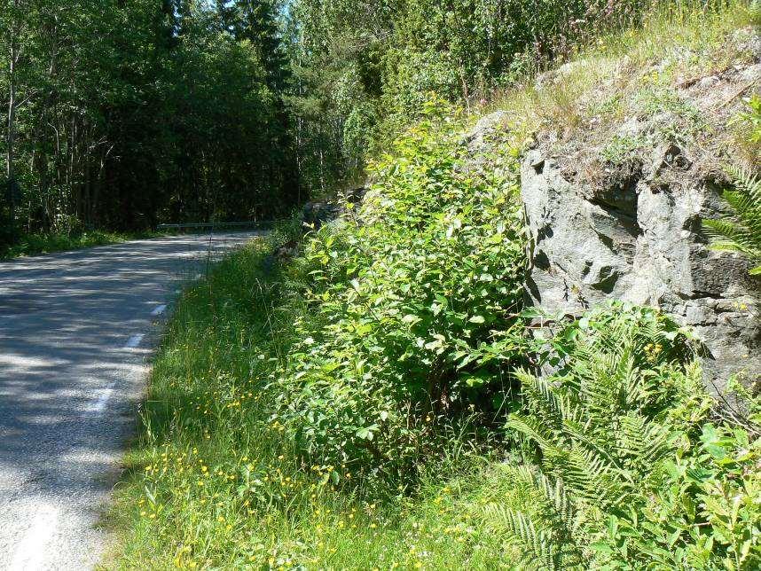 Delsträcka 2 Läge: Strax sydväst om Ånimmens sydligaste del, väster om Tjärkil. Två delsträckor ingår, en på vardera sidan vägen.