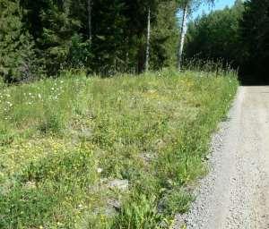 Delsträcka 66 Läge: Strax norr om Säbyn vid Skogsgården. Två delsträckor ingår, en på vardera sidan vägen. Beskrivning: Cirka 500 meter lång vägsträcka genom skogsmiljö.