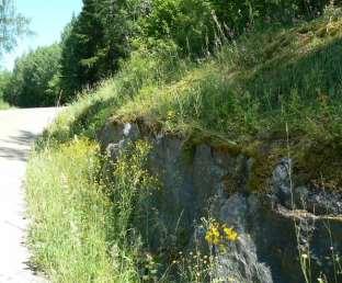 Det mesta av den intressanta floran finns längs östra sidan vägen där vägslänterna är branta och på flera ställen har berg i dagen. Bland arterna märks bl.a. Sankt Pers nycklar, trollsmultron, vildlin och kungsmynta.