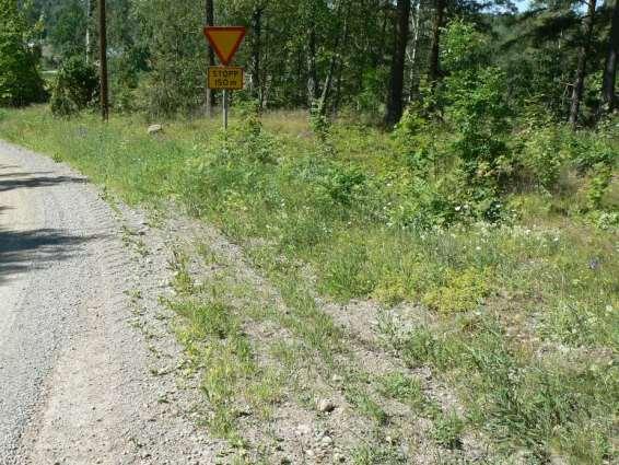 Delsträcka 69 Läge: Vid Sandbol. En delsträcka ingår, västra sidan vägen. Beskrivning: Torr, ganska flack vägslänt. Torrängsflora med bl.a. vitmåra, stor blåklocka och darrgräs.