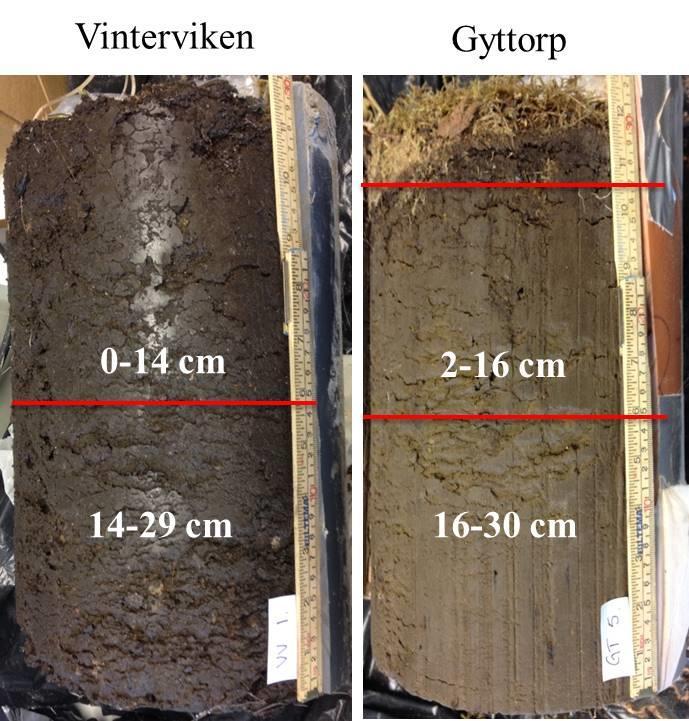 3 MATERIAL OCH METODER Lösligheten hos bly i jordprover från de förorenade lokalerna undersöktes genom skakförsök under fem dygn vid olika ph.
