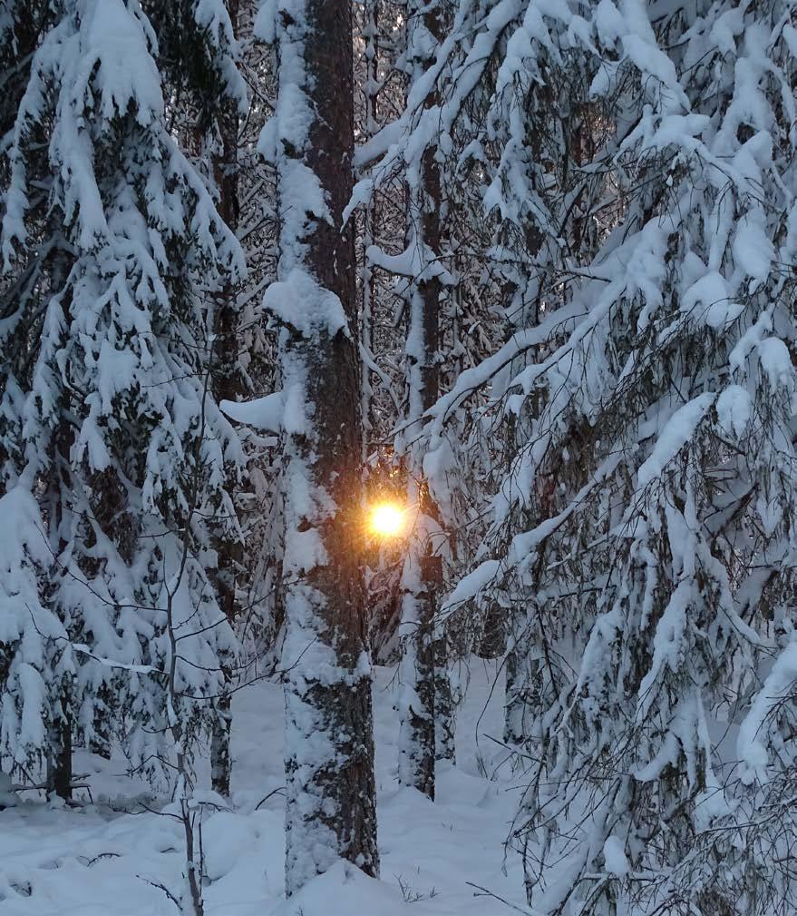 Vattudalens Naturskyddsförening Program