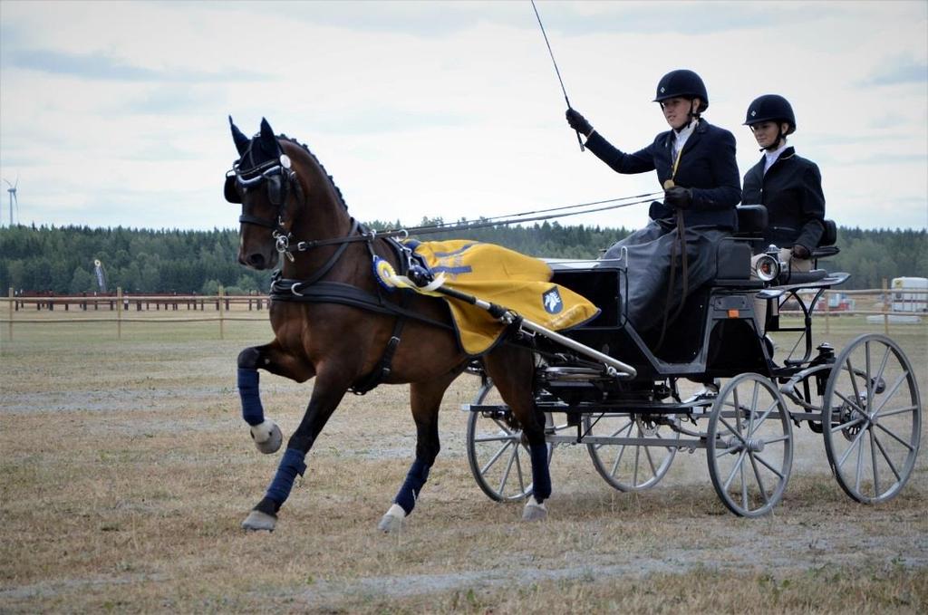 Sportkörning 2018 År 2018 hade vi få tävlings aktiviteter i distrikt tävling, endast en tävling genomfördes på Göteborg Horse Park, arrangör, Göteborg Horse & Carriage Club. Klasser LB-MSV.
