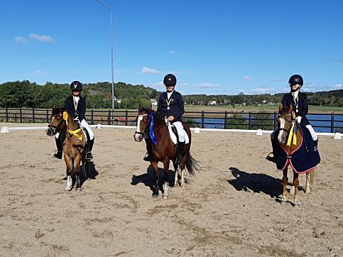 Distriktsmästare 2018 DM för ponny dressyr avgjordes på Tjörns Ridklubb Dressyr Ponny B-ponny Guld Emma Jakobsson Sparky Three Västkustens HRF Silver Elin Hake Groves Miss Ladiva Stora Höga RK Brons