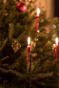 15.00 Julkonsert Vantörs kyrka 18.00 Julkonsert Vantörs kyrka Maja Wåhlin, Vox Nova, musiker, gästartist MÅNDAG 17 DECEMBER 13.00 Tankesmedja Vantörs kyrka 18.