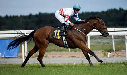 Zawawi Bro Park Vårsprint (L) Ambiance vann loppet 2018 9 Ousden House (e Oasis Dream) är faktiskt den andra hästen tränad av Annette Stjernstrand i Skara och ägd av Nathalie Mortensen.