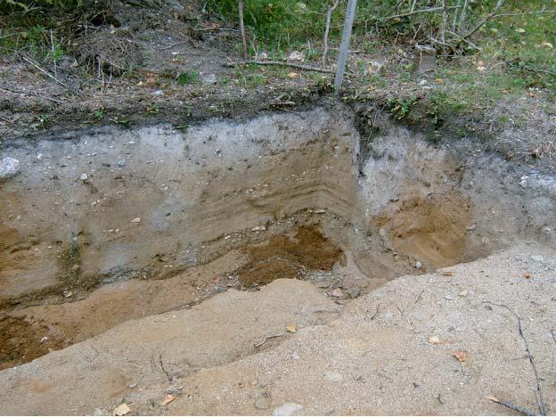 Kompletterande analys av jordarter och lagerföljder Kerstin Abbing & Rolf Zale BMG/Naturgeografi, Umeå universitet.